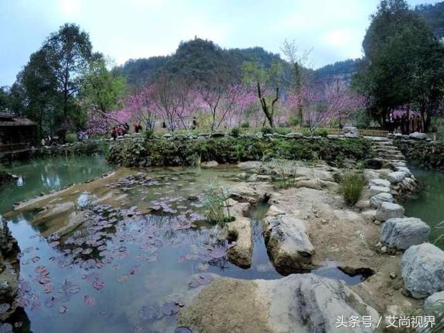 酉阳桃花源这里真的是人间的世外桃源! 建议你一辈子一定要去一次