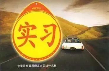 驾照到手后,实习期、丢失、扣分、转入、增驾