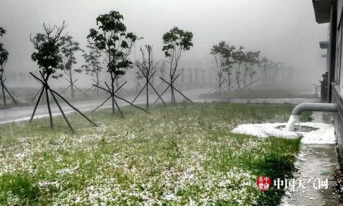 烟台、辽宁冰雹，四川阿坝降雪、降雨…今年极端天气频发，农户受