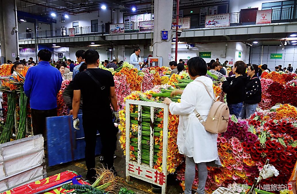 探秘云南昆明凌晨花市，那么多漂亮的花，在这里会是什么价?