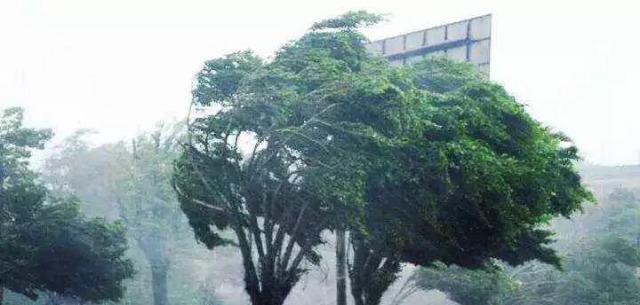 【头条妹说天气】昆山人挺住,台风云雀来了!