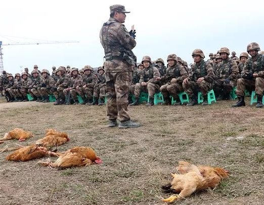 活鸡带上训练场,这群兵哥哥在打靶场开展了一