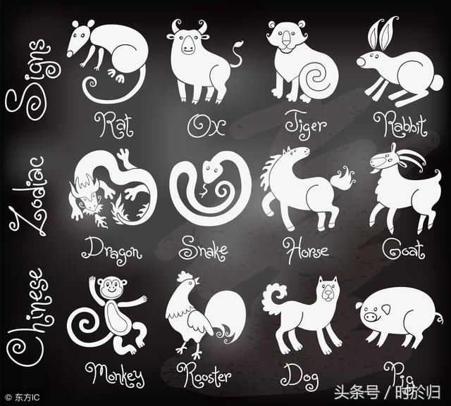 算命往事:第62章 属相相冲是怎么回事