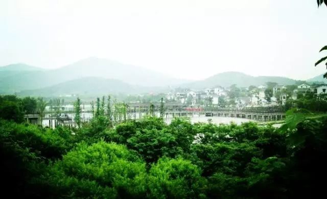 南京这些超适合一日游的地方,每一个都美如画!不看要后悔!