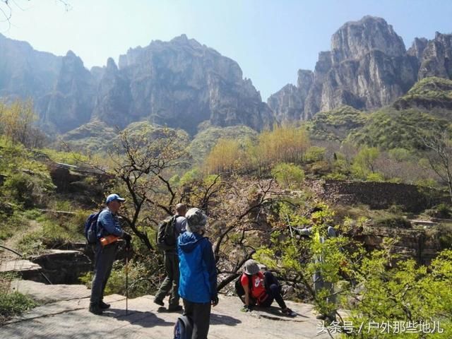 春天的太行山，连翘花儿满山坡，有一种曲径通幽之美