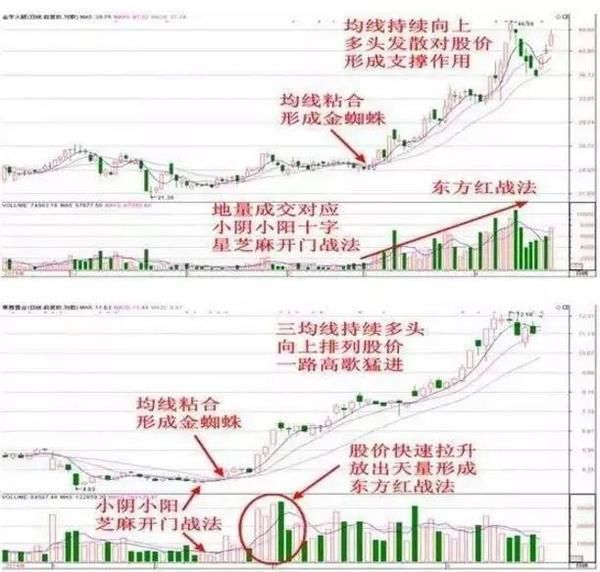 中国股市最无耻“笑话”，亿万散户纷纷退市，到底有什么阴谋？