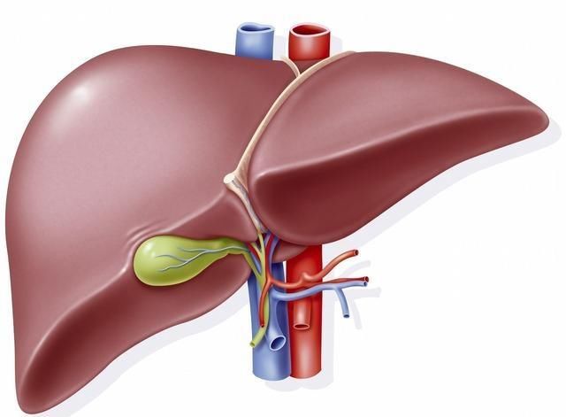 如果在这个时间突然醒来，可能是肝脏要向你“呼救”！