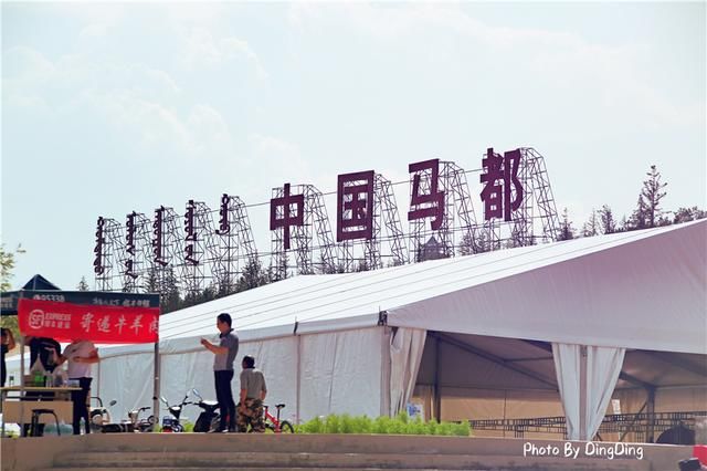 竞嘉年华,蒙古马争霸赛,草原v草原开创玩法新科技情趣娇陈梦喘图片