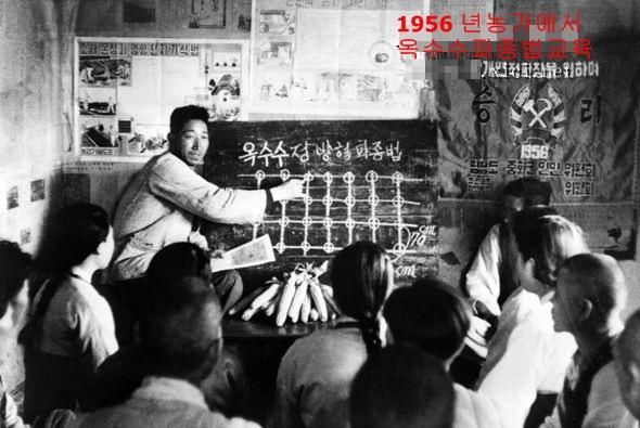 1950~1960年代金日成早期统治的朝鲜