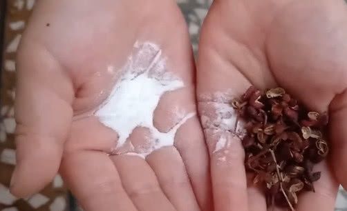 花椒和小苏打混一起,解决了很多人的烦恼,看完你也去试试 日日博娱乐首页