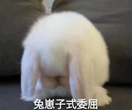 小奶猫没人爱成力气?表情使出吃奶表情卖萌猫a力气白菜包图片