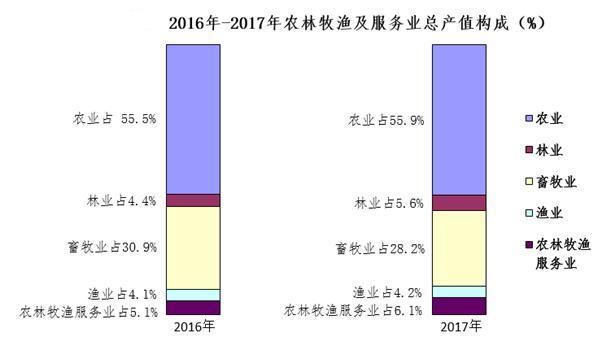 广西南宁2020GDP总量多少_南宁有多少人口2020年(3)