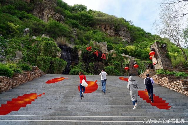 黄栌的春天比红叶更美，五月黄栌花开了，赶快来赏花吧