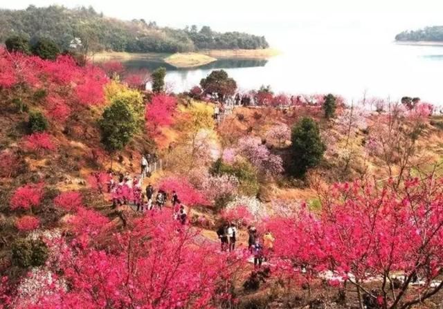 躺进庐山西海最in的气泡酒店,和星辰大海一起,