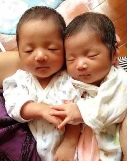 张杰谢娜双胞胎宝宝,左边像妈妈右边像爸爸,网
