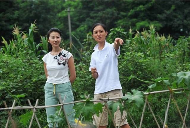 人大博士回乡卖蔬菜：你在城里连自然食品都吃不到，还谈什么富有