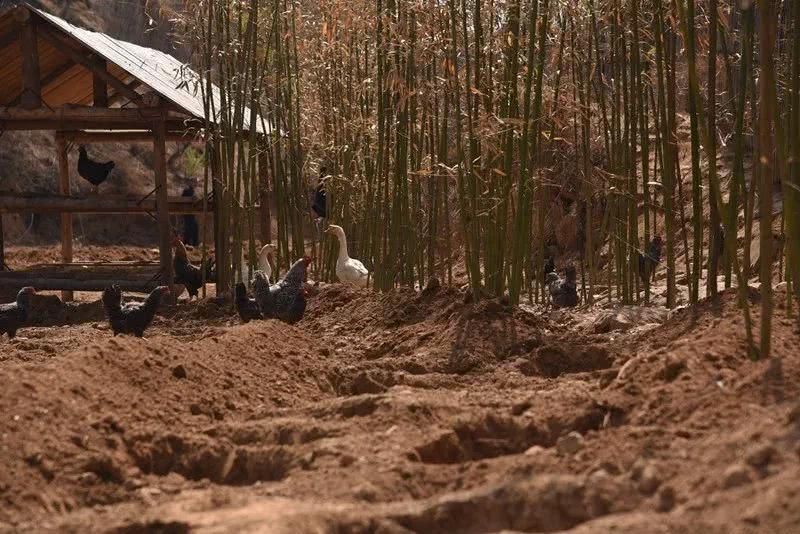 尧京，不仅仅是酒庄，还有春日的乡愁