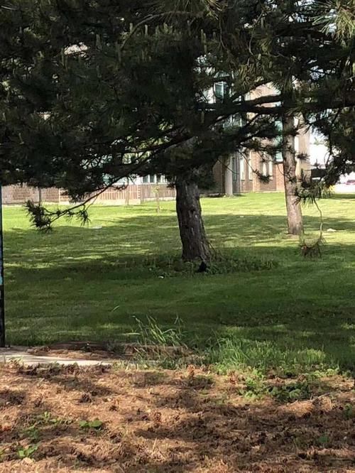 香港人移民英国