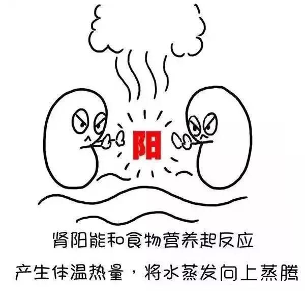 t011c38a4bc0a66d93b.jpg