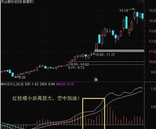 神秘操盘手选牛股的铁律，学会这招，利润就在手中