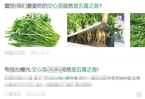 爱吃空心菜的千万小心！买它时一定要看这个地方！别怪我说得太迟