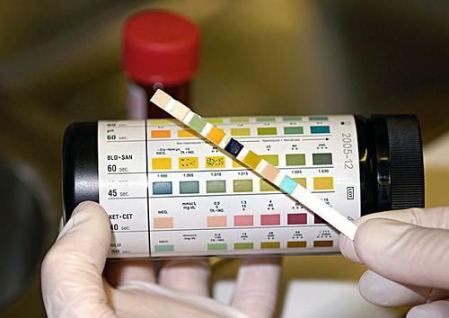 省钱快报是真的吗