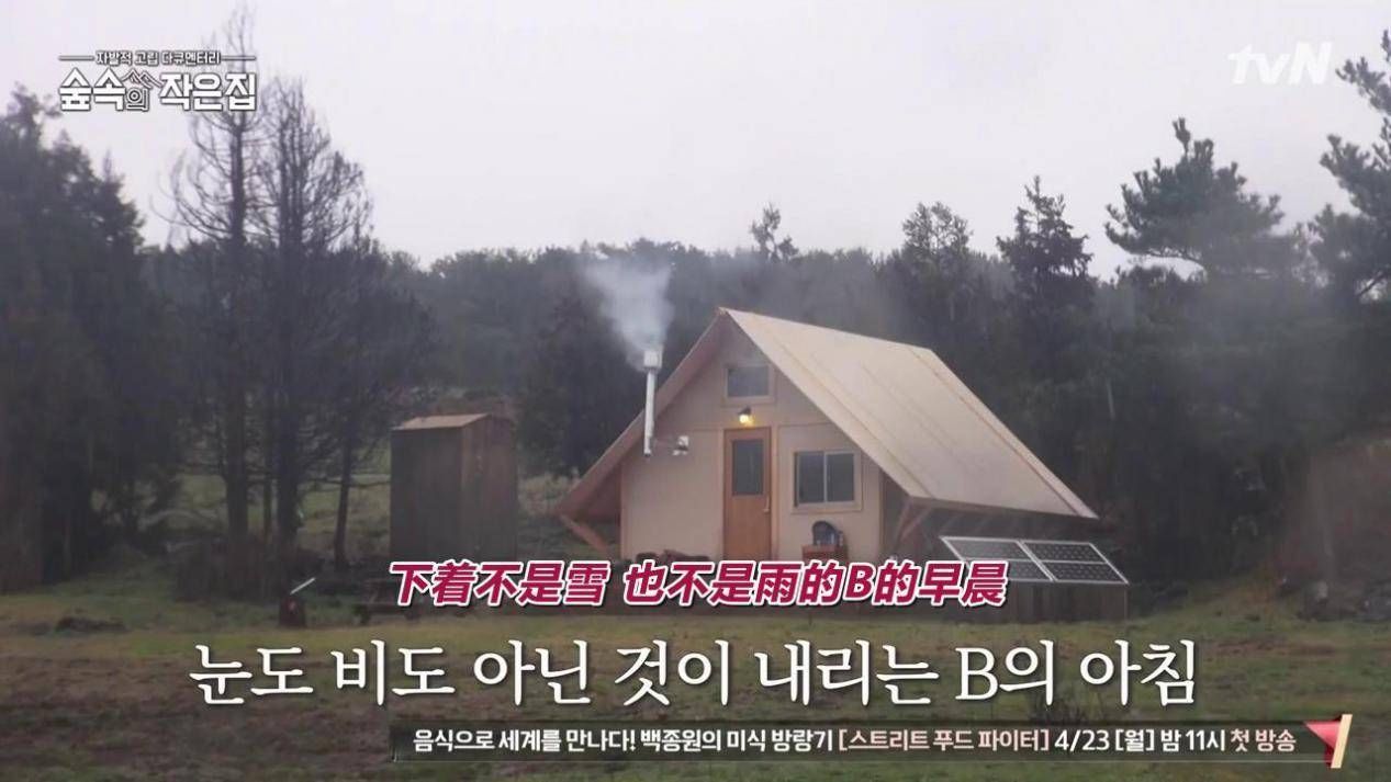 罗英石的林中小屋,为何非苏志燮和朴信惠不可