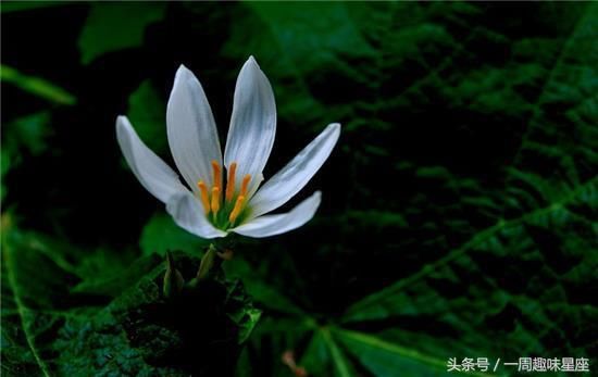 小偷入室偷窃杀人,一个骇人听闻的真实事件