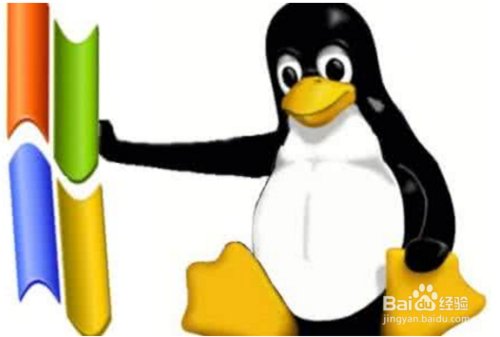 Linux和Windows哪个更适合做服务器系统?听语