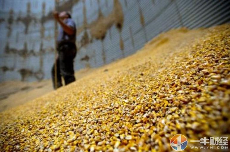 别总怪特朗普!贸易战确实影响美国大豆销量,但