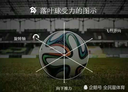 国足为何这么差?清华教授:全是因为没文化!说