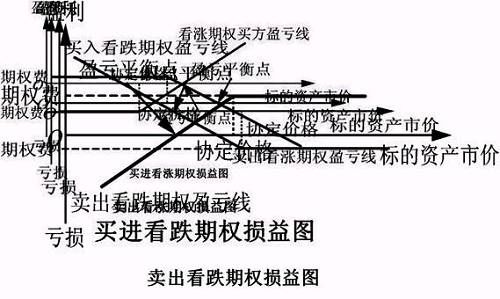 万万没想到 我就这样学会了豆粕期权...