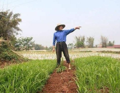 农民收入提高,手里有15万存款,却不敢称有钱人,日子过得很拮据