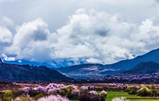 中国最美的2条高速公路,都不收费!这条花了380亿