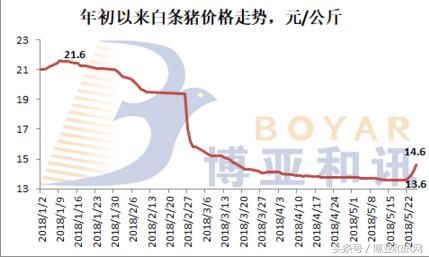 全国猪价将破11奔12，能否抓住行情？当前市场的几个变化要注意