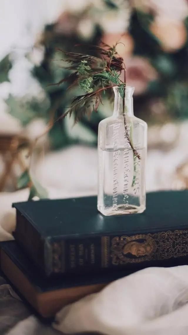 最走心的经典句子，句句入心