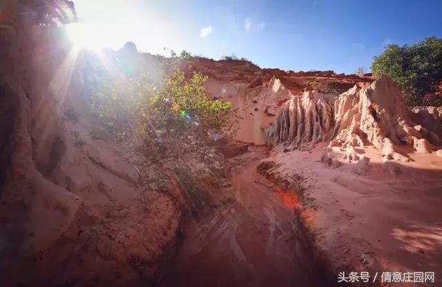 你想要的大海和沙海这里全都有