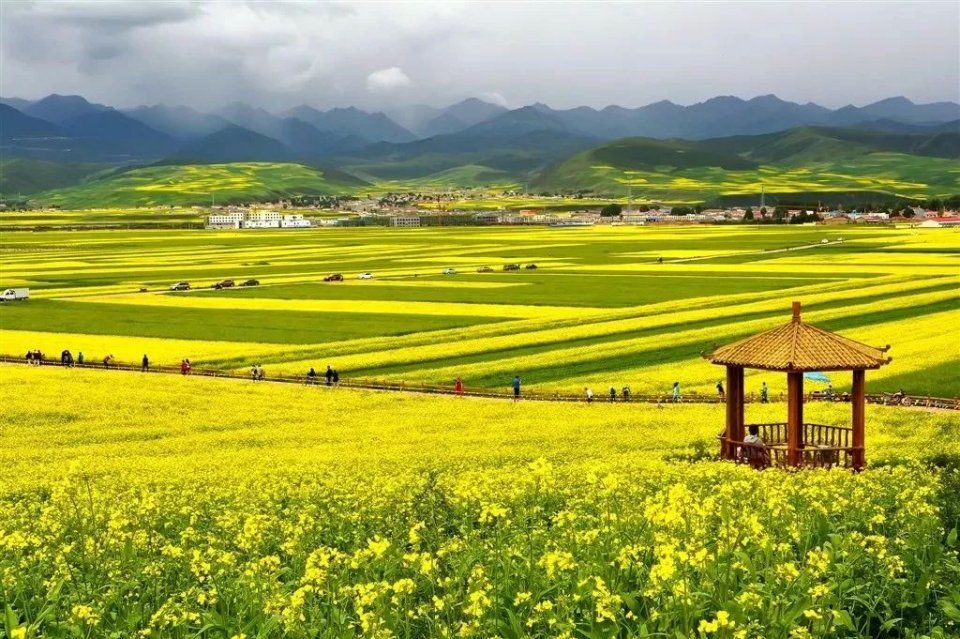 小长假别再出国了!浪了青海，就等于浪了全世界，不信你看!