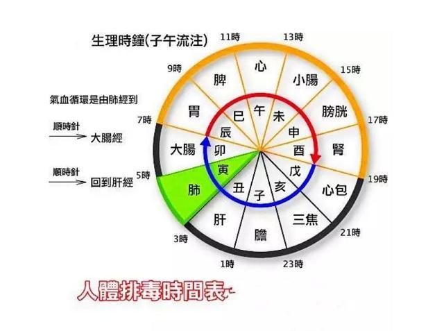 人体并没有排毒时间表—网络舆论分析