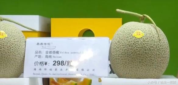 独生子女瓜,一粒二百九十八(附录15个海南冬交