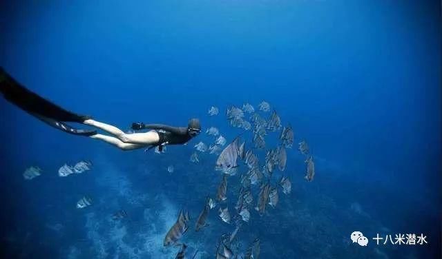 走肾系:潜水员对潜水的感悟,一本正经到吓人