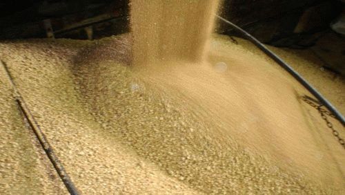 刚刚中国宣布制裁美国大豆，芝加哥农产品期货全线暴跌