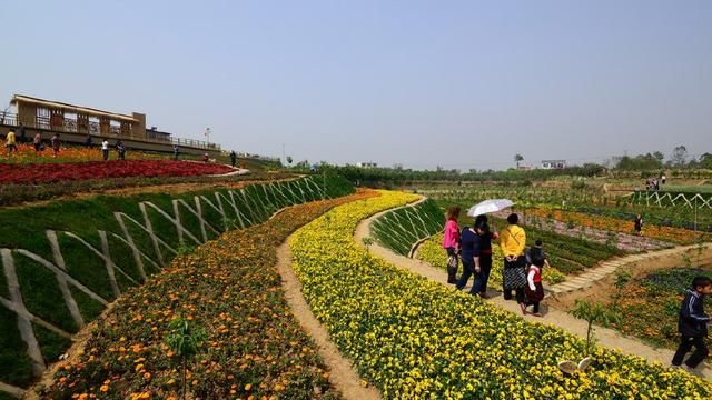 在家致富？这几种农村致富方法了解一下
