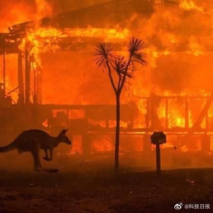 澳洲大火二氧化碳