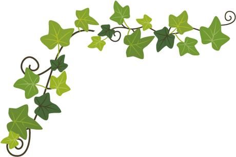 立夏已过，记者小迟给你一份龙江旅游攻略！