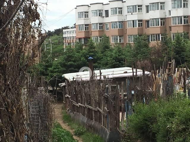 世外桃源?抚顺市莫地北路附近惊现“山中之城”