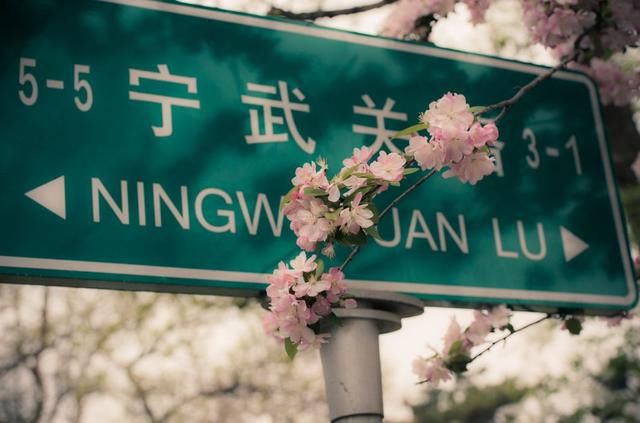 2018春天国内最美的30个地方,你去过几个?