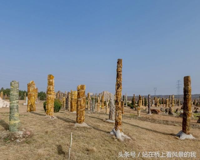 世界上第一朵花绽放 第一只鸟飞起的地方 朝阳鸟化石国家地质公园