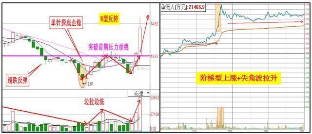 海珠一女博士说破股市：“三不买七不买”句句实用，堪称金玉良言