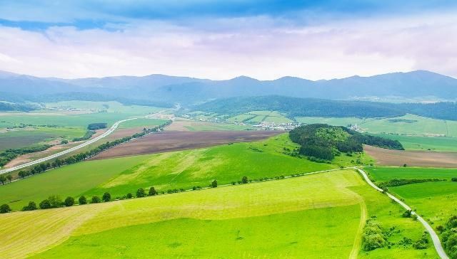 农业保险赔偿标准